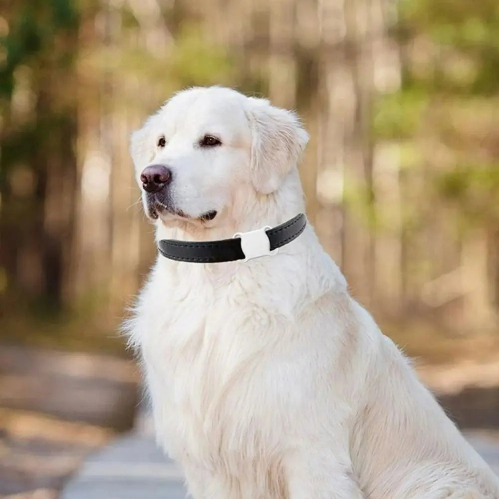 Simple ABS GPS Smart Pet Locator Alarm Sound With LED Light Mini GPS Tracker Waterproof Pet Tracking Collar Cats