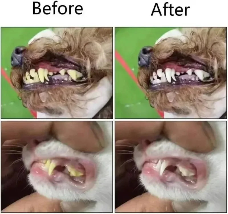 Silicone Pet Finger Toothbrush for Dogs Cats Dental Care Bad Breath Tartar Teeth Cleaning Household Silicagel Pet Supplies