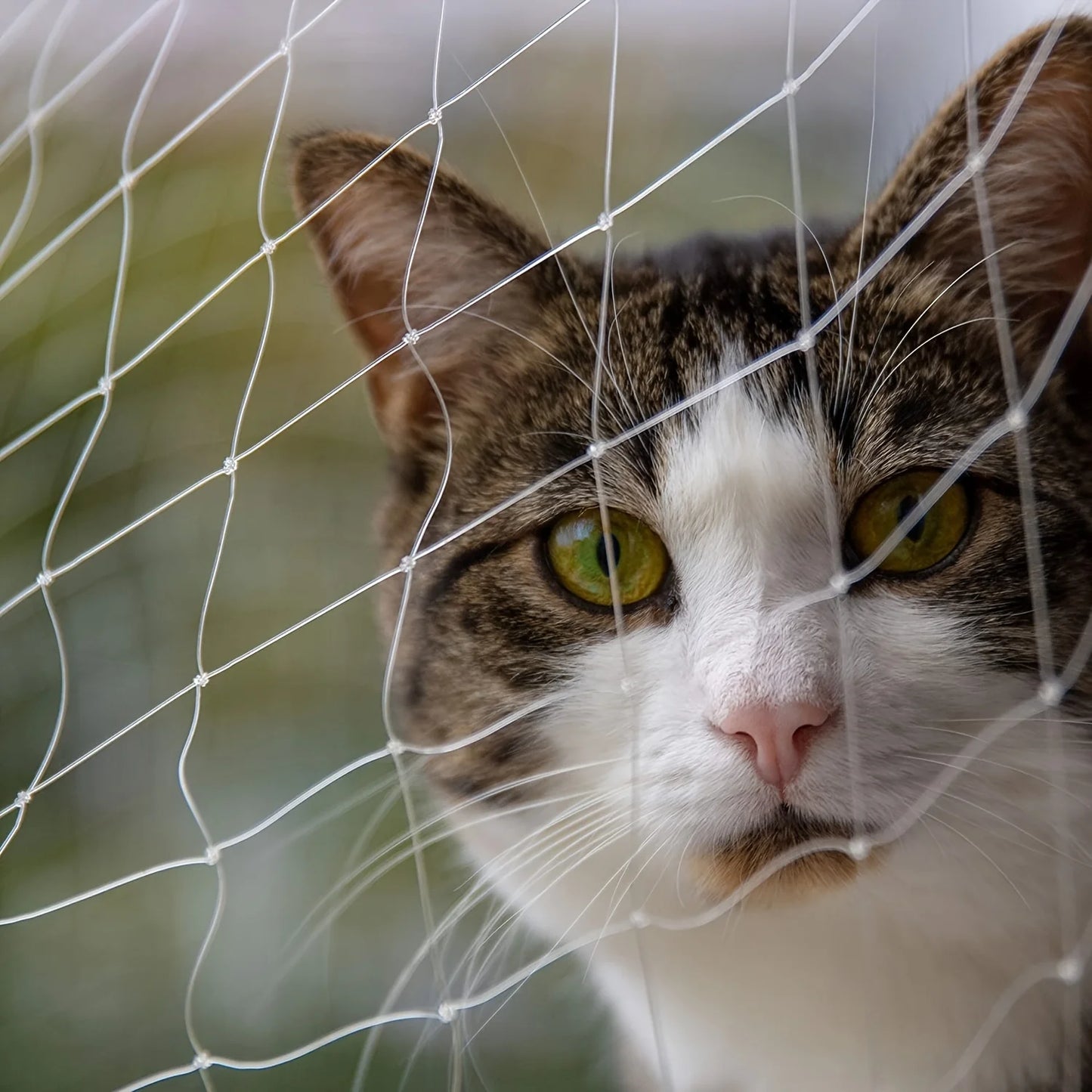 1set Different Sizes Transparent Cat Safety Net with Accessories for Balcony and Stairs - Prevents Pet Falls and Escapes
